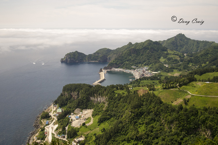 A View From Taeha