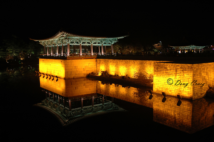 Anapji at Night