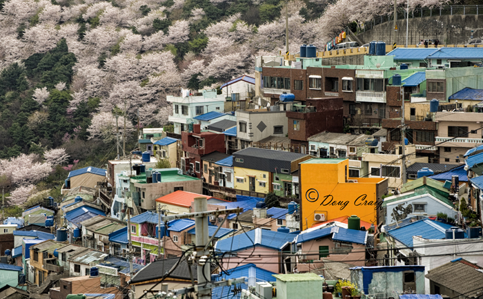 Springtime In Gamcheondong