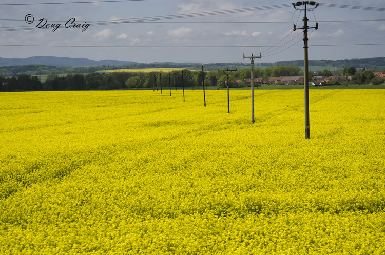 Czech Countryside - Photo #1