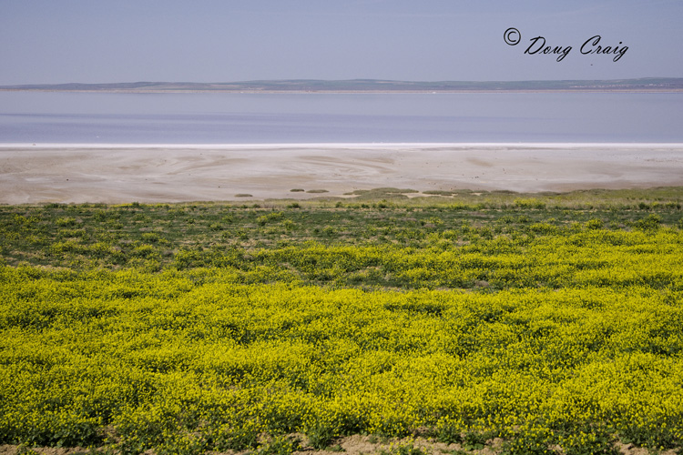 The Rape At Lake Tuz