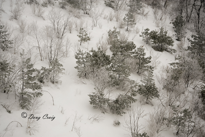 Deogyusan Snow