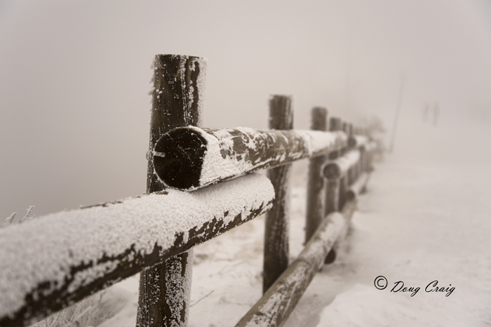 Ghosts In The Whiteout