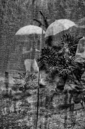 Walking Through Seounam