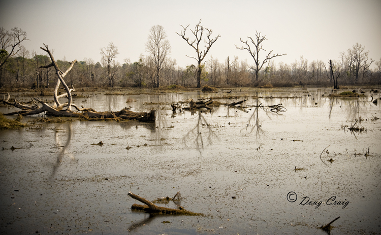 Neak Pean Wetlands