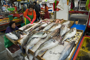 Processing Fat Fish