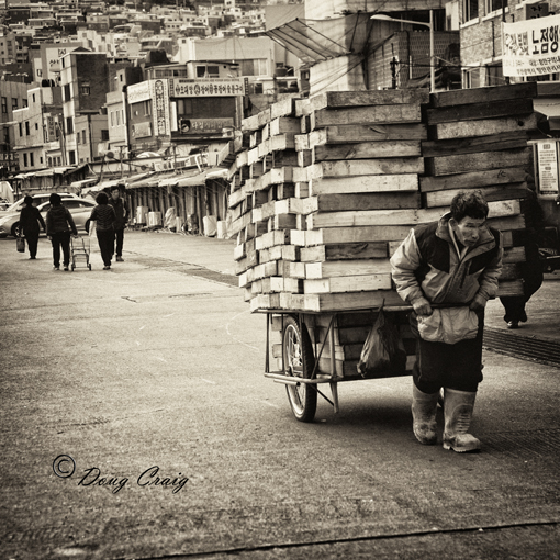Transporting Seafood Crates