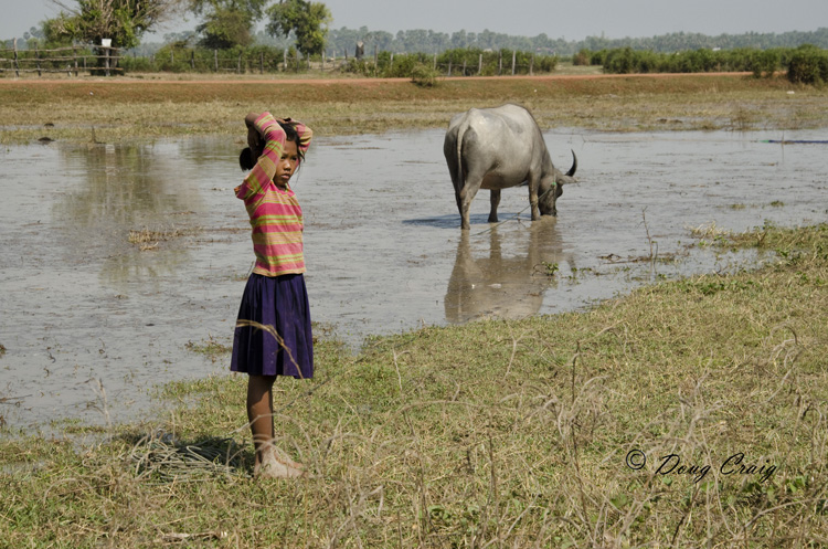 Girl With Buffalo