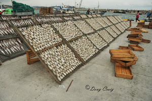 Drying Fish