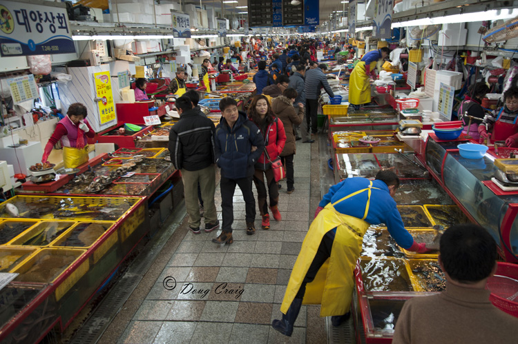 Inside Jagalchi Fish Market