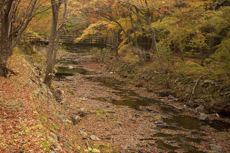 Naejangsan Creek