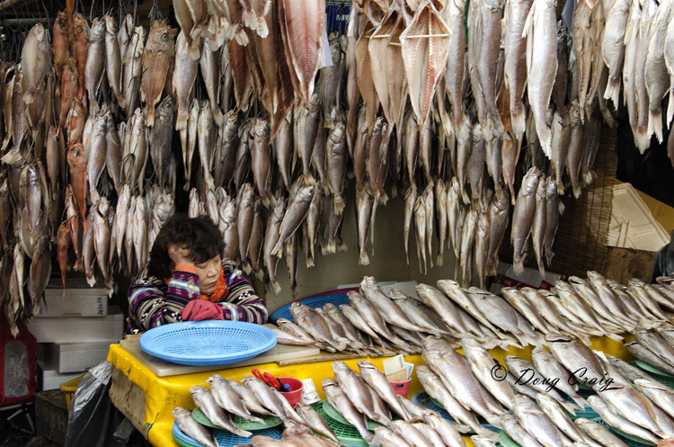 Sleeping With The Fishes