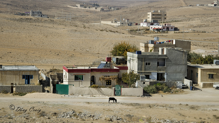 And The Village Donkey