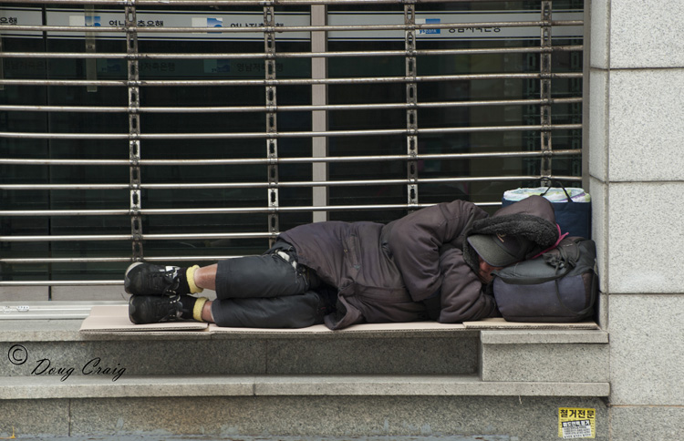 Longing For Springtime