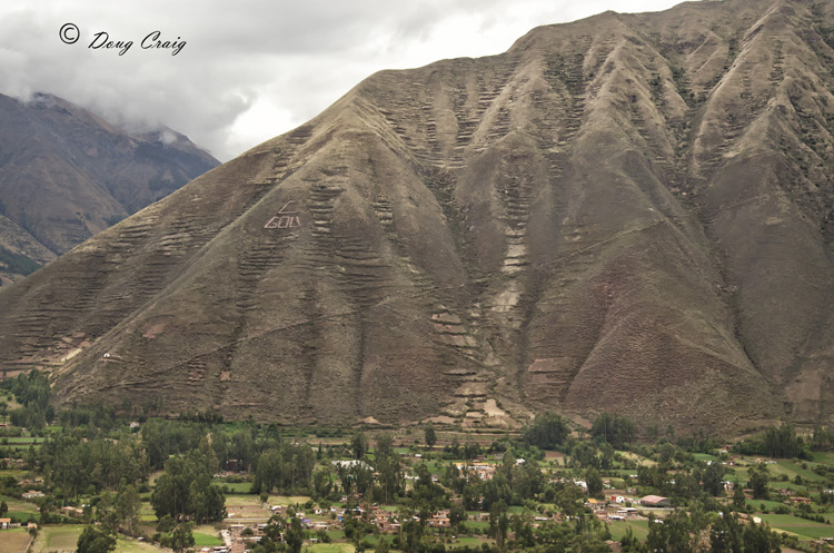 Quinoa Farms At Urubamba