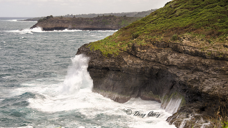 Kilauea Point - Photo#1