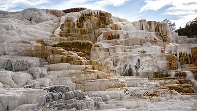 Mammoth Hot Springs #1