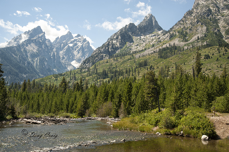 North Jenny Lake Area