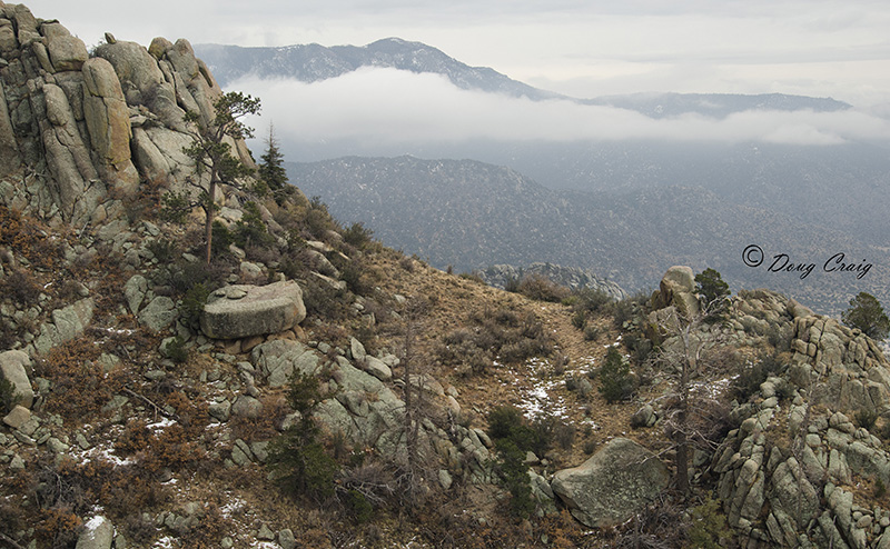 Sandia Mountains #1
