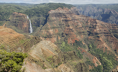 Waimea Canyon #2