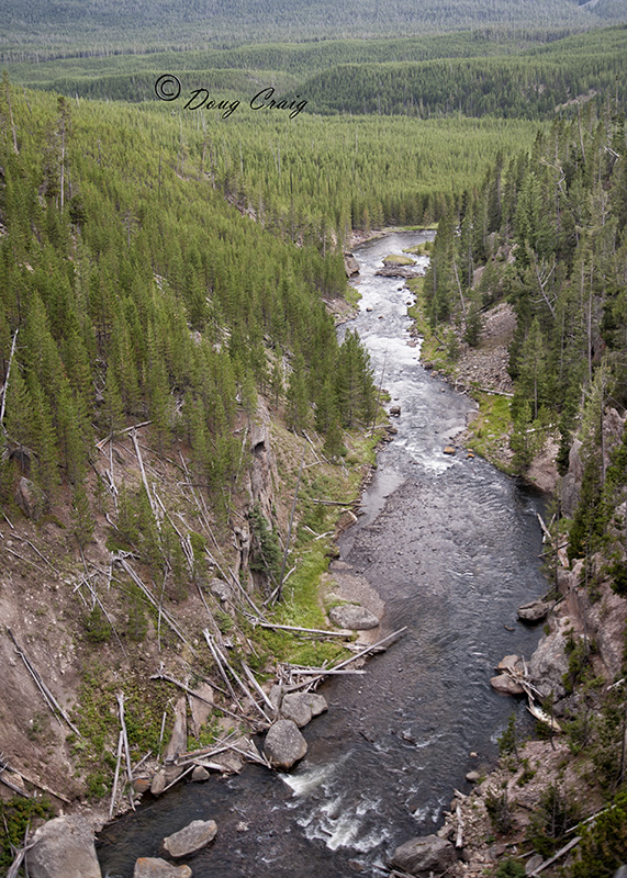 Yellowstone River Overlook